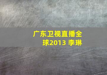 广东卫视直播全球2013 李琳